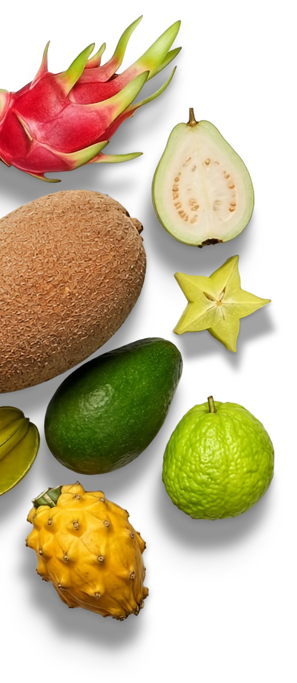 Teirra Suelta