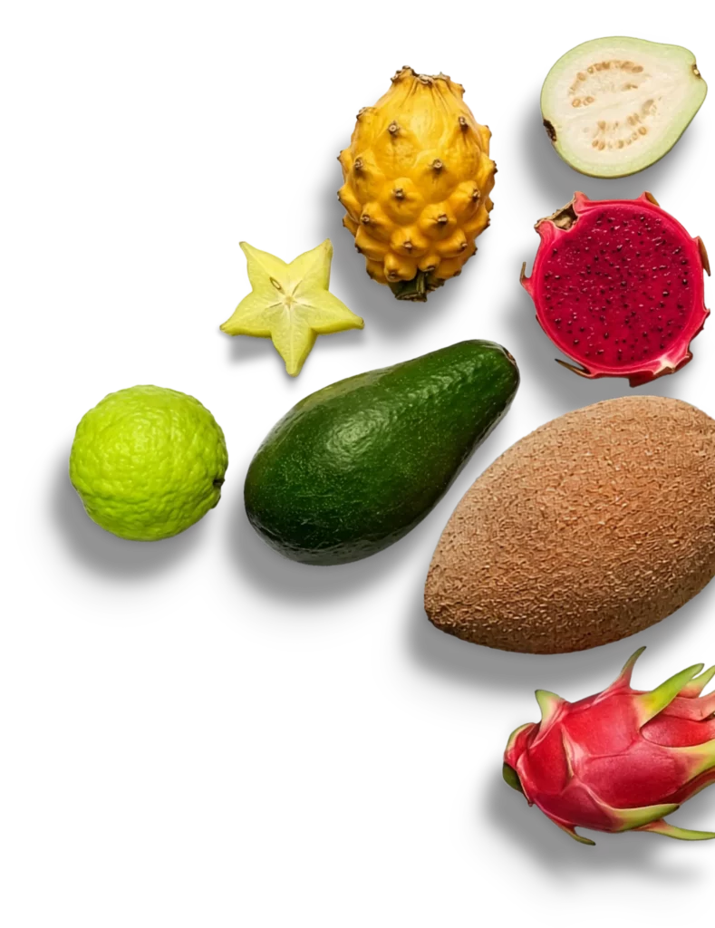 Teirra Suelta