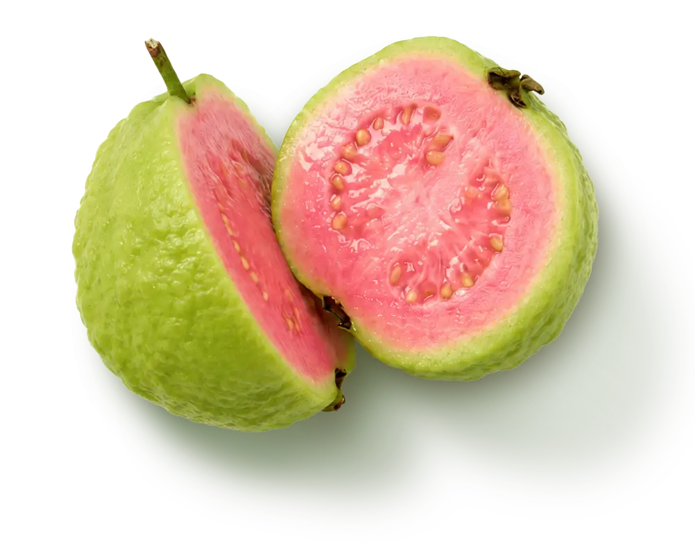 Teirra Suelta